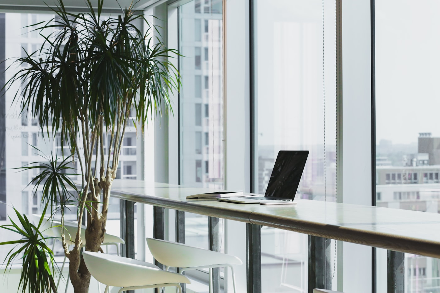 Inselogi's calm, glass-walled workspace overlooking the city